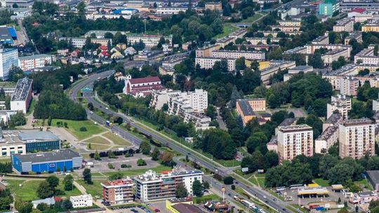 Oświadczenie ws. wycinki drzew przy ul. Dominikańskiej w Rzeszowie