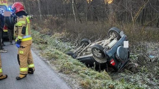 Pies sprawcą groźnego wypadku w Piątkowej