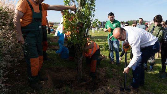 Piknik Ekologiczny w Rzeszowie "Nasze korzenie: sprzątanie i sadzenie"