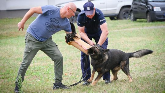Podkarpaccy policjanci ze swoimi psami doskonalili umiejętności [ZDJĘCIA, WIDEO]