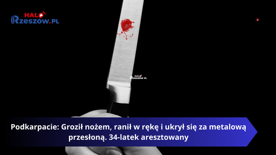 Podkarpacie: Groził nożem, ranił w rękę i ukrył się za metalową przesłoną. 34-latek aresztowany