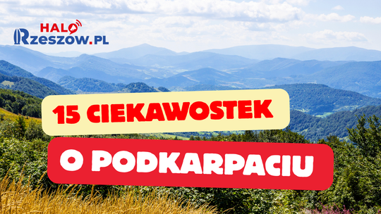 Podkarpacie, jakiego nie znasz: 15 niezwykłych ciekawostek, od noblisty i ojca polskiego bluesa po niedźwiedzie i najmniejszy rezerwat w Polsce