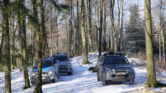 Policjanci w podkarpackich lasach. Czego szukali?