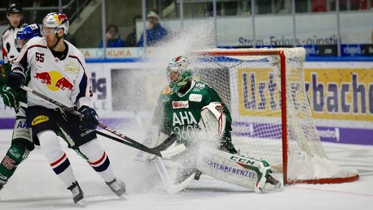 Polska Hokej Liga: GKS Tychy vs Ciarko STS Sanok