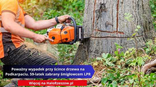 Poważny wypadek przy ścince drzewa na Podkarpaciu. 59-latek zabrany śmigłowcem LPR