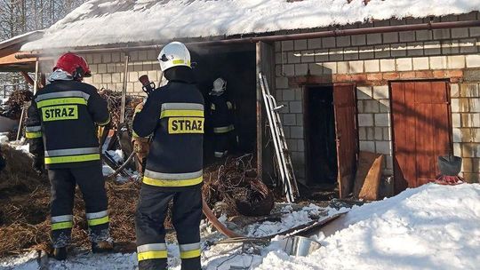 Pożar budynku gospodarczego w Borku Starym