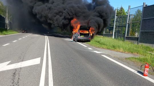 Pożar samochodu na DK94 w Trzcianie [ZDJĘCIA]