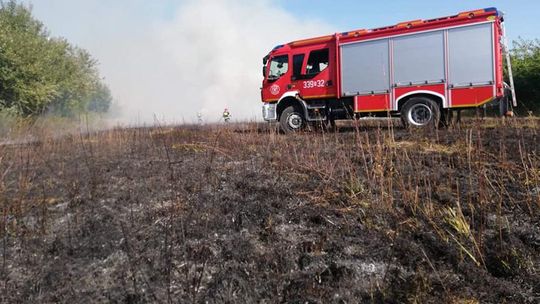 Pożar traw w Trzebownisku