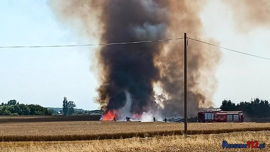 Pożar zboża w Dąbrowie. Ogień na 100 ha polu! [FOTO]