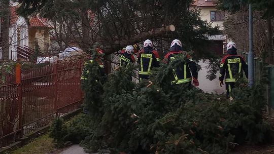 Prawie 100 interwencji strażaków w związku z silnym wiatrem