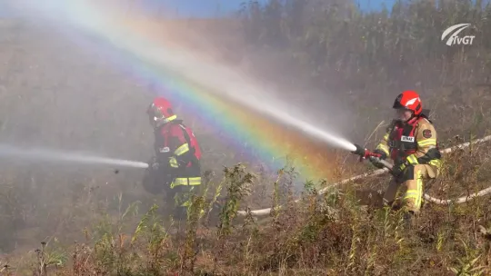 Premiera "Pulsu Gminy Trzebownisko" – nowy program informacyjny dla mieszkańców Premiera "Pulsu Gminy Trzebownisko" – nowy program informacyjny dla mieszkańców