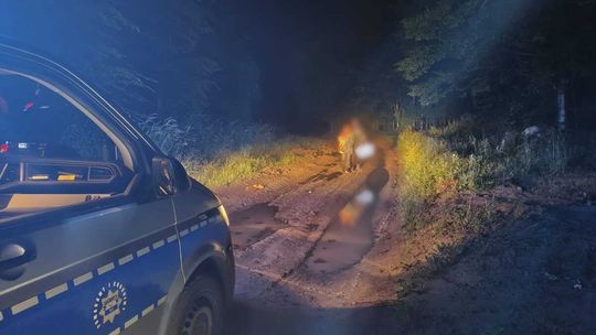 Przeszli 15 kilometrów i utknęli w środku lasu. Bali się uciekać przez ślady wielkiego drapieżnika