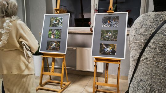 RDK otwiera przestrzenie wystawiennicze dla artystów