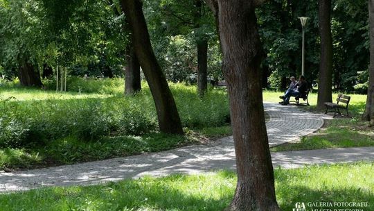 Rewitalizacja parku na os. Zalesie. Pojawi się więcej zieleni