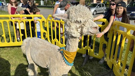 Rodzinny Piknik w Wólce Podleśnej – wspólnota, smak i dobra zabawa