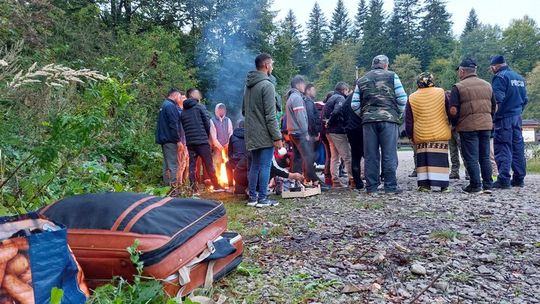 Rumuńscy grzybiarze przeczesują podkarpackie lasy za grzybami [ZDJĘCIA]