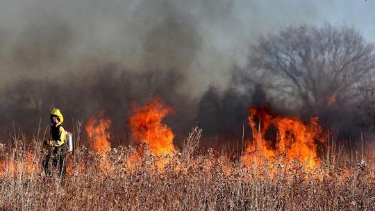 Rusza akcja Stop Pożarom Traw