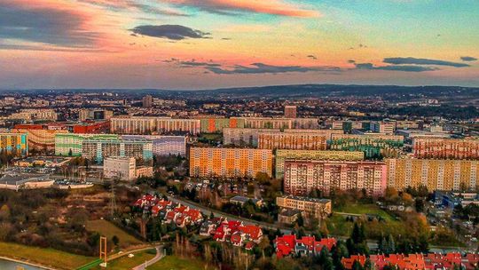 Rzeszów. Na Podwisłoczu wytną kolejne drzewa