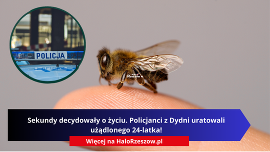 Sekundy decydowały o życiu. Policjanci z Dydni uratowali użądlonego 24-latka!