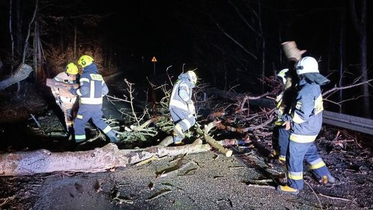 Silne wiatry na Podkarpaciu. Ponad 100 interwencji strażaków