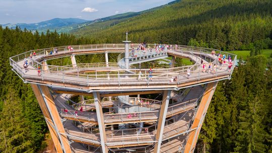 Sposoby na aktywne spędzanie czasu - Ścieżka w Koronach Drzew i inne