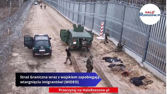 imigranci, straż graniczna