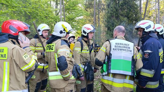 Strażacy opanowali pożar torfowiska w rezerwacie "Źródliska Jasiołki"