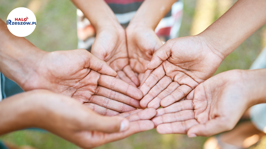 Trwa nabór do projektu GO NGO! Organizacje z Podkarpacia mogą liczyć na szerokie wsparcie Trwa nabór do projektu GO NGO! Organizacje z Podkarpacia mogą liczyć na szerokie wsparcie