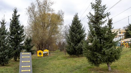 Uwaga właściciele psów: tymczasowe zamknięcie parków dla psów