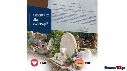 W Rzeszowie powstanie cmentarz dla zwierząt? Prezydent za, a nawet przeciw?!