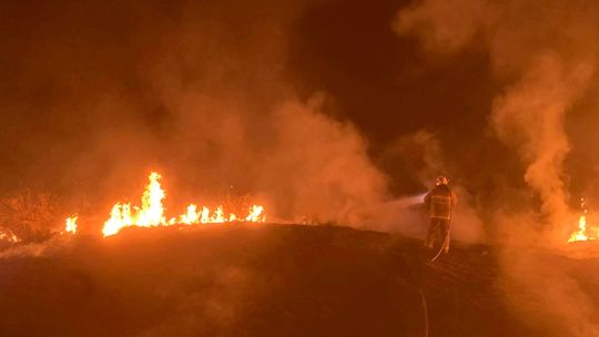 W weekend strażacy gasili ponad 250 pożarów traw