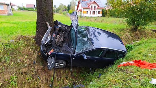 Wiśniowa. Samochód uderzył w drzewo.