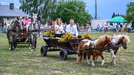 Woźnice i konie, czyli Zlot Furmanek w Furmanach k. Gorzyc