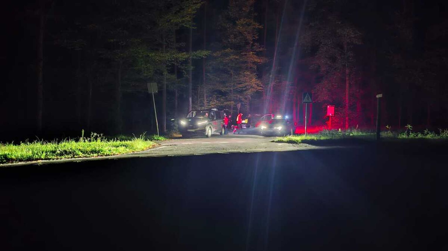 90-latka zgubiła się na grzybobraniu. Poszukiwania w ciemnościach i szczęśliwy finał