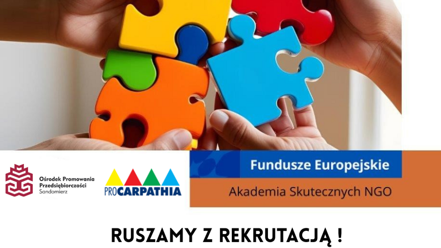 Akademia Skutecznych NGO - Kompleksowe wsparcie dla organizacji pozarządowych