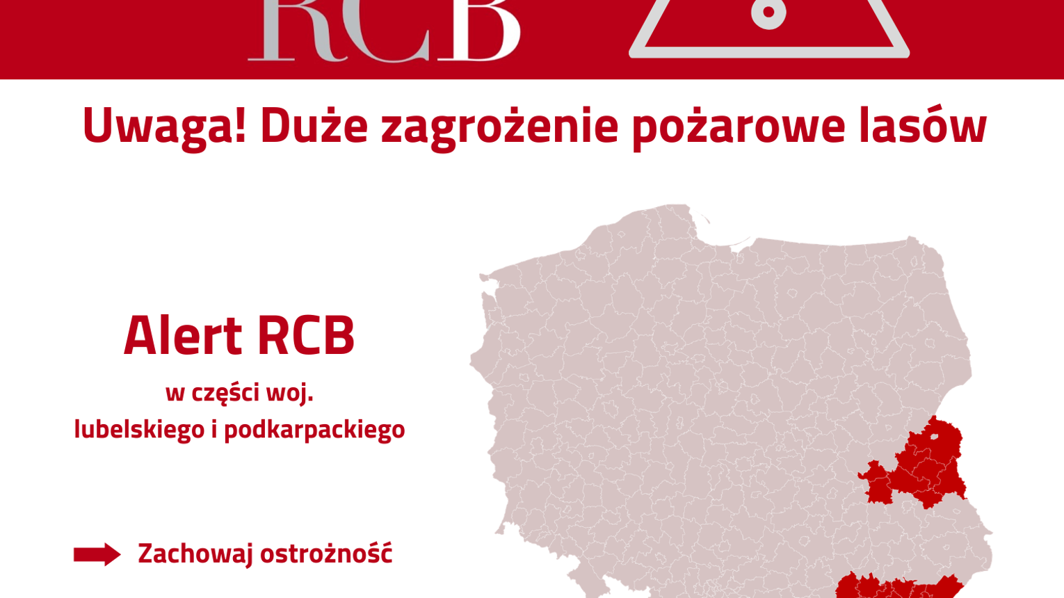 Alert RCB dla Podkarpacia. Duże zagrożenie pożarowe lasów, bezwzględny zakaz używania ognia