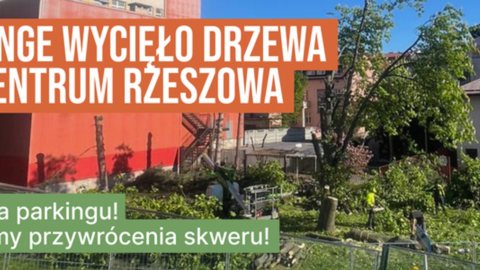 Asfalt zamiast zieleni. Petycja do Orange w sprawie wyciętych drzew w sercu Rzeszowa