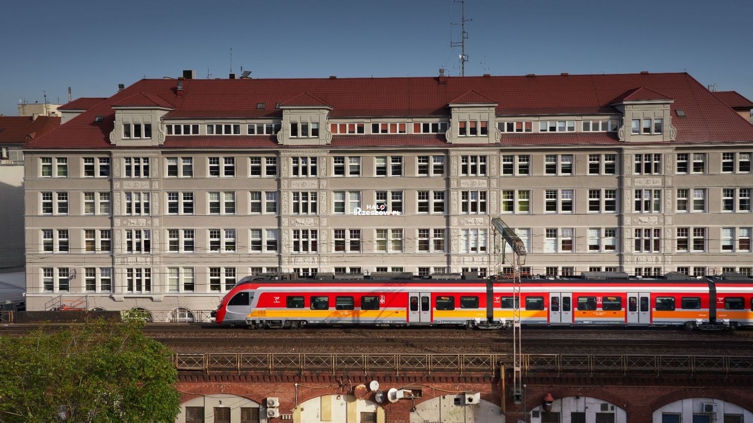 Bilet dla psa, transporter dla kota. Co warto wiedzieć przed podróżą pociągiem?
