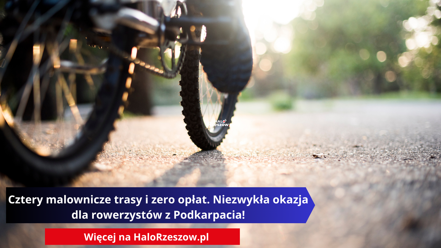 Cztery malownicze trasy i zero opłat. Niezwykła okazja dla rowerzystów z Podkarpacia!