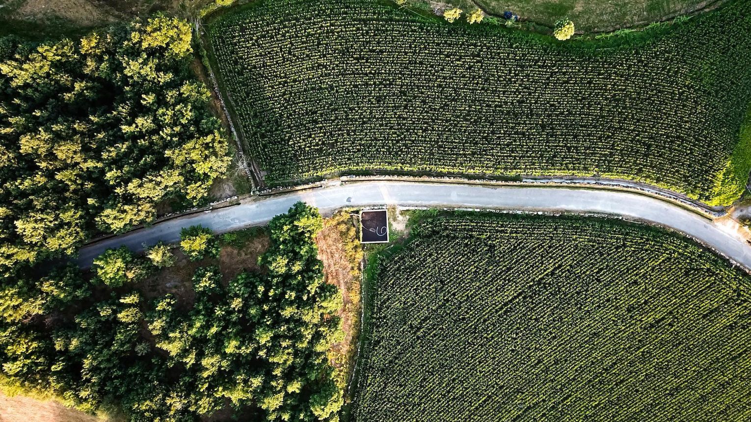 Działka z przetargu od miasta lub gminy - jak kupić?