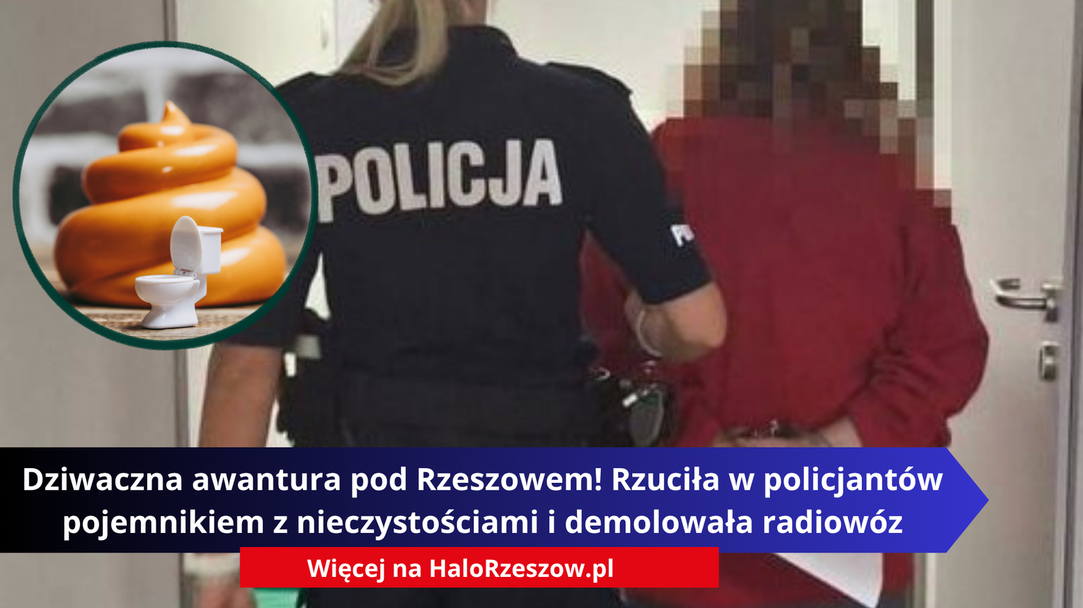 Dziwaczna i groźna awantura pod Rzeszowem! Rzuciła w policjantów pojemnikiem z nieczystościami i demolowała radiowóz