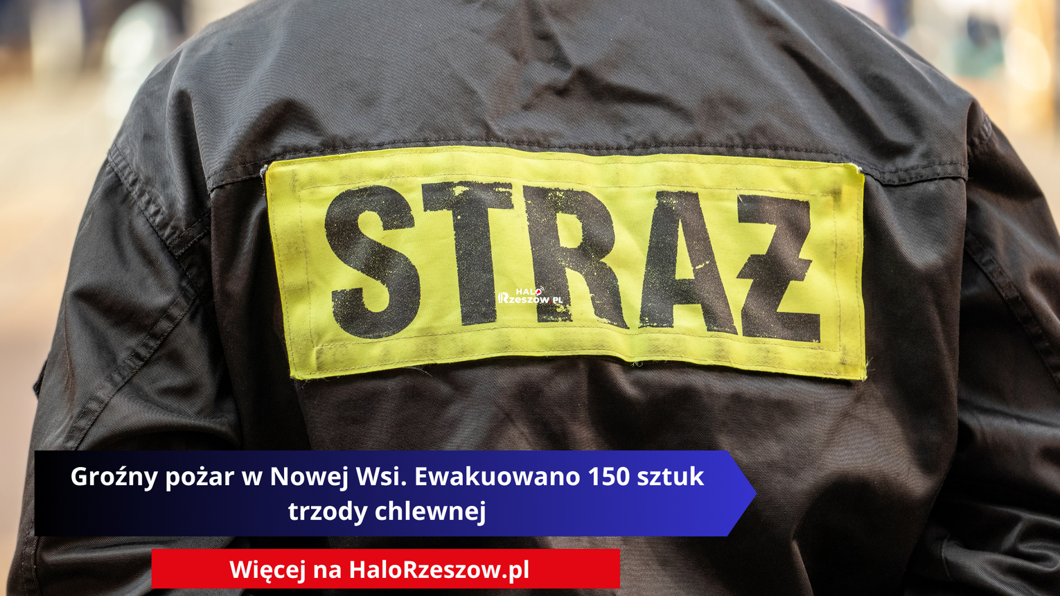 Groźny pożar w Nowej Wsi. Ewakuowano 150 sztuk trzody chlewnej