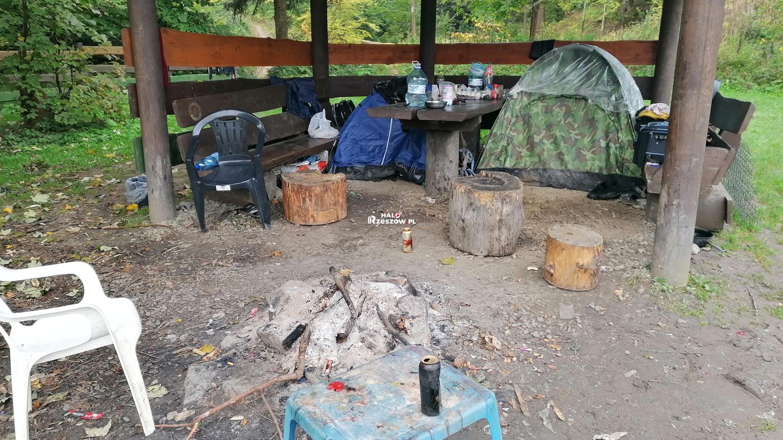 Grzybiarze z Rumunii w podkarpackich lasach. Leśnicy nie potwierdzają doniesień o groźbach