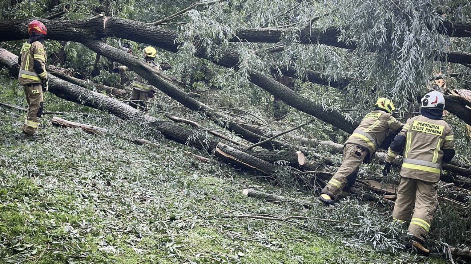 Interwencje strażaków i zerwane linie energetyczne po dwugodzinnej burzy