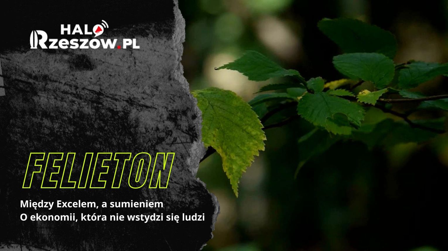 Między Excelem, a sumieniem. O ekonomii, która nie wstydzi się ludzi [FELIETON]