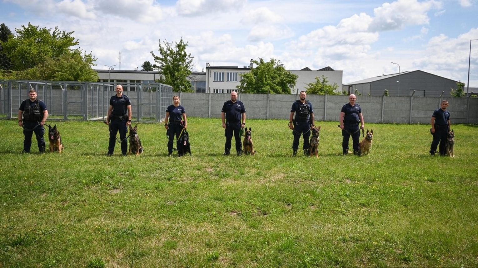 Najlepsze policyjne psy w regionie. Za nami wojewódzkie eliminacje do Kynologicznych Mistrzostw Policji