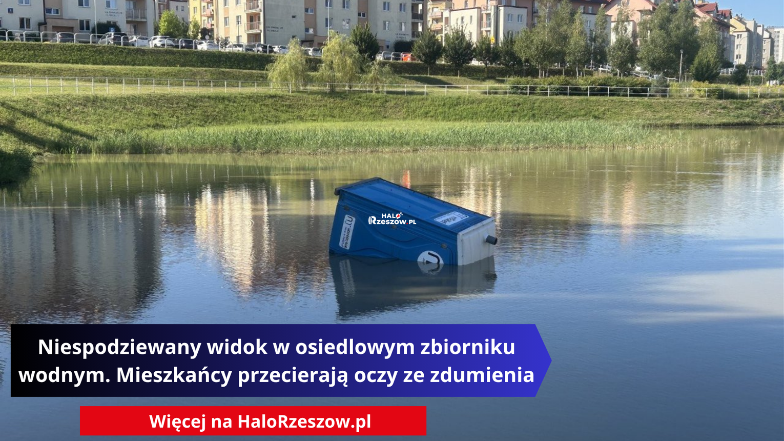Niespodziewany widok w osiedlowym zbiorniku wodnym. Mieszkańcy przecierają oczy ze zdumienia