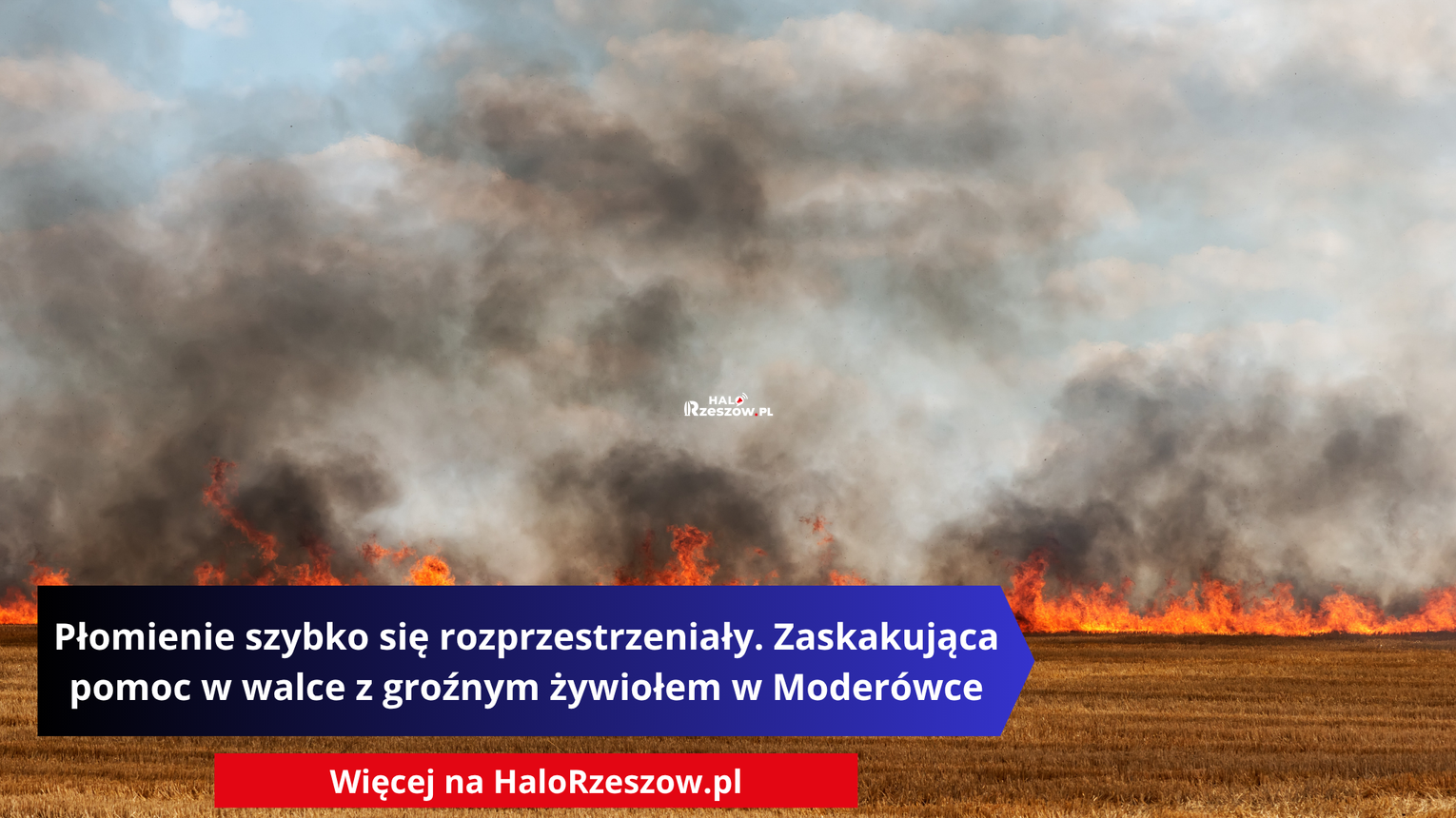 Płomienie gwałtownie się rozprzestrzeniały. Zaskakująca pomoc w walce z groźnym żywiołem w Moderówce