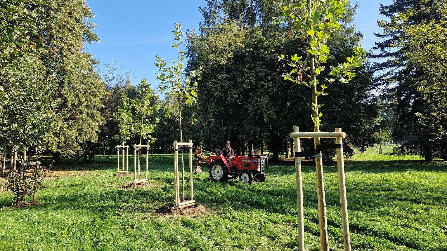Ponad osiem tysięcy nowych roślin w Rzeszowie