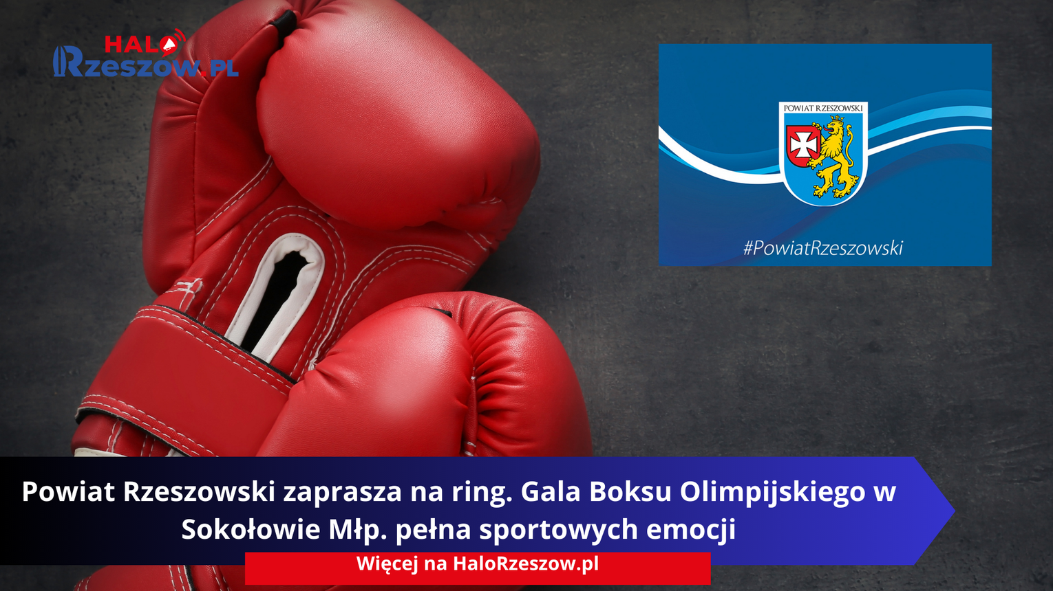 Powiat Rzeszowski zaprasza na ring. Gala Boksu Olimpijskiego w Sokołowie Młp. pełna sportowych emocji